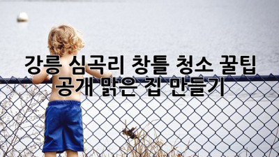 강릉 심곡리🌊 창틀 청소✨ 꿀팁 공개! 맑은 집 만들기🏡