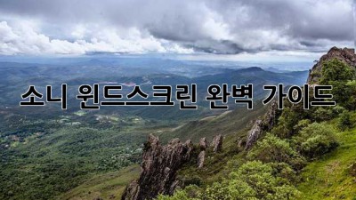 소니 윈드스크린 완벽 가이드